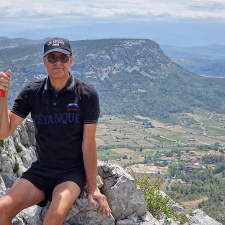 Trois Appartements Au Sein Du Mas Jams - Le Gouleyrous, Le Canigou Et Le Figarassa Vingrau Exterior foto