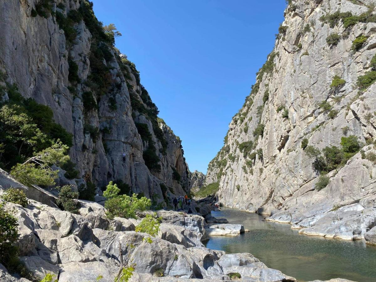 Trois Appartements Au Sein Du Mas Jams - Le Gouleyrous, Le Canigou Et Le Figarassa Vingrau Exterior foto