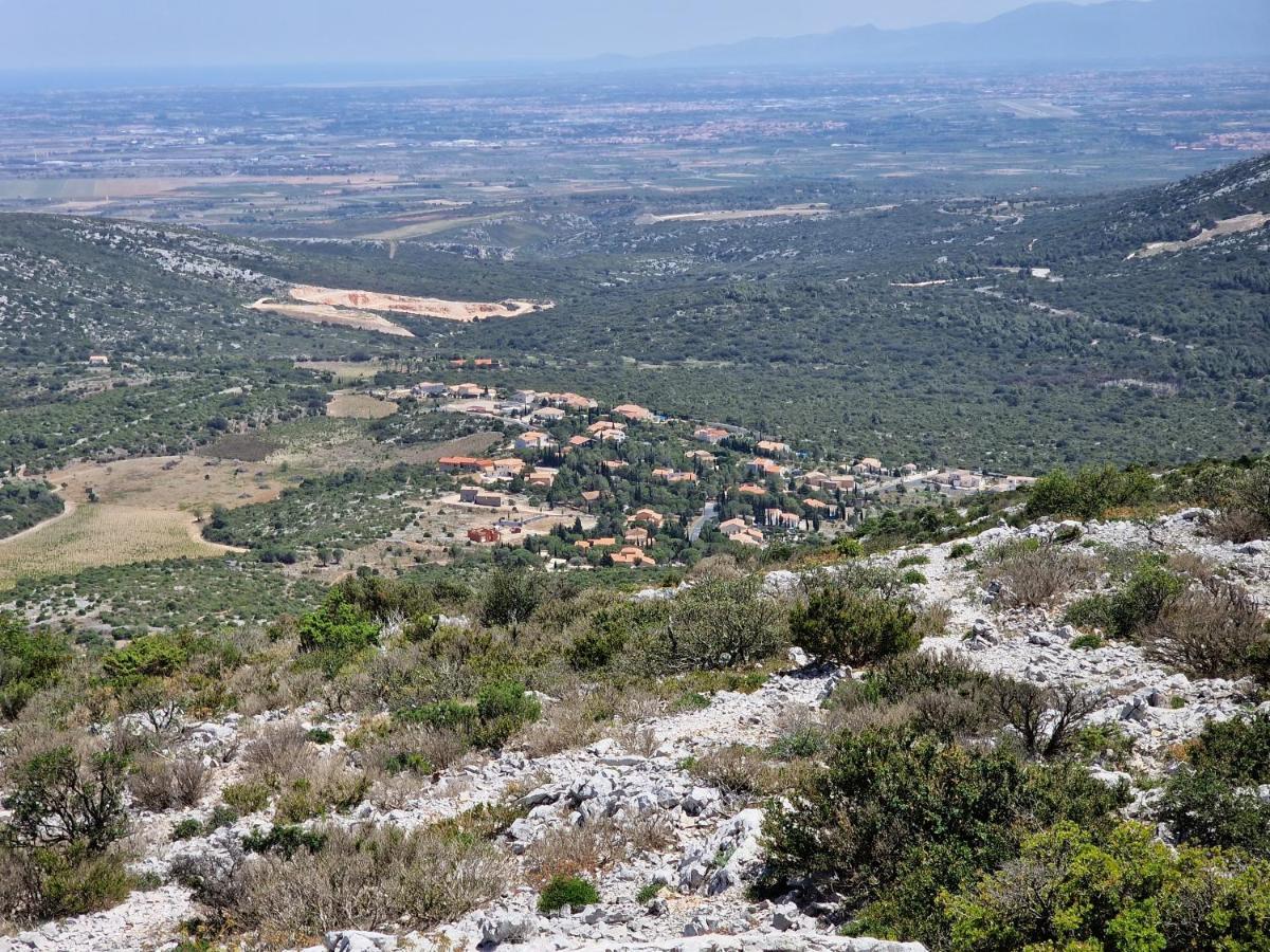 Trois Appartements Au Sein Du Mas Jams - Le Gouleyrous, Le Canigou Et Le Figarassa Vingrau Exterior foto
